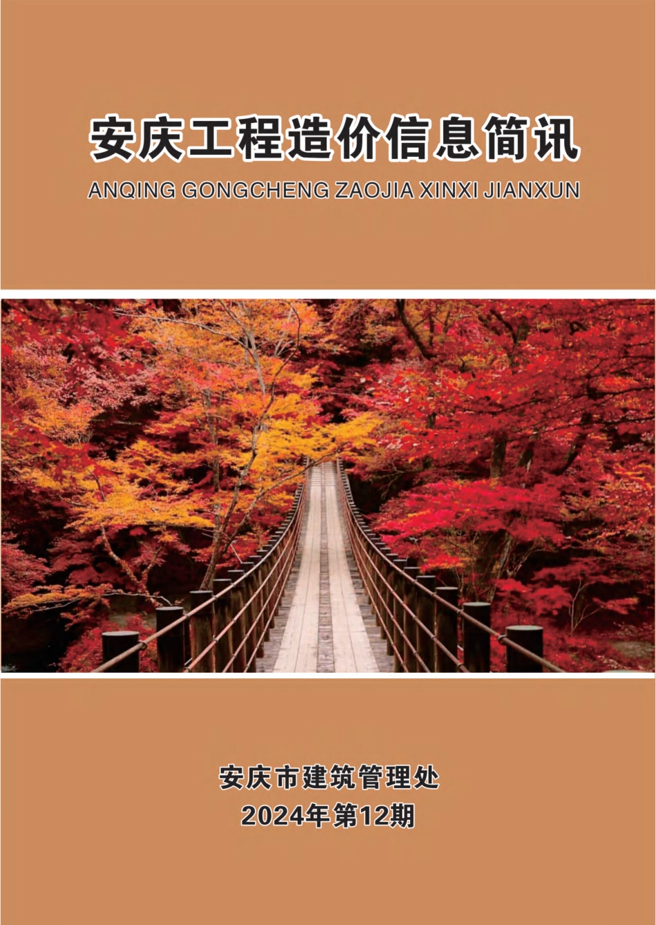 2024年第十二期安庆市建设材料价格信息-安庆2024年12月信息价.pdf_第1页