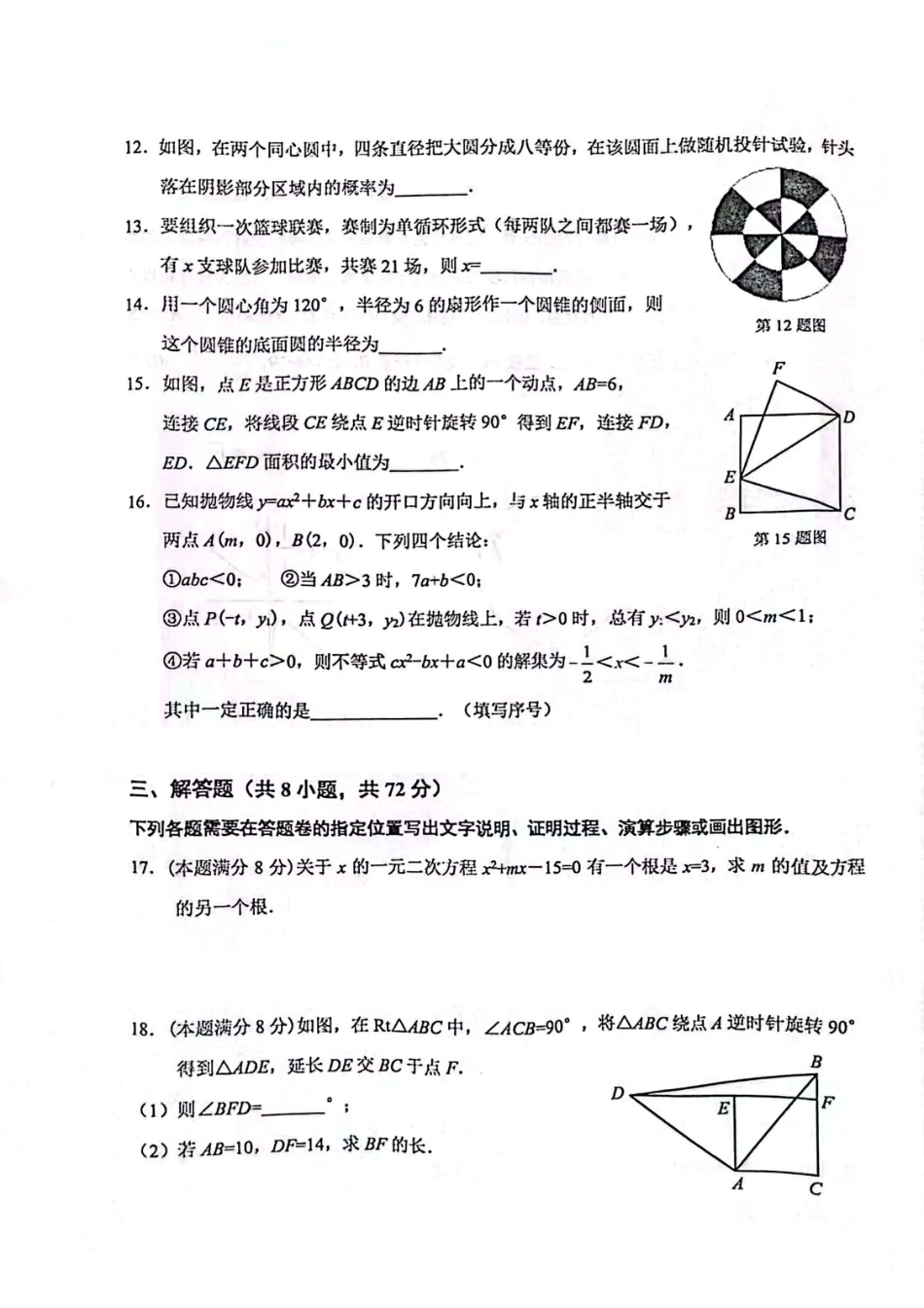 青山区2024-2025学年上学期元调九年级数学试卷.pdf_第3页