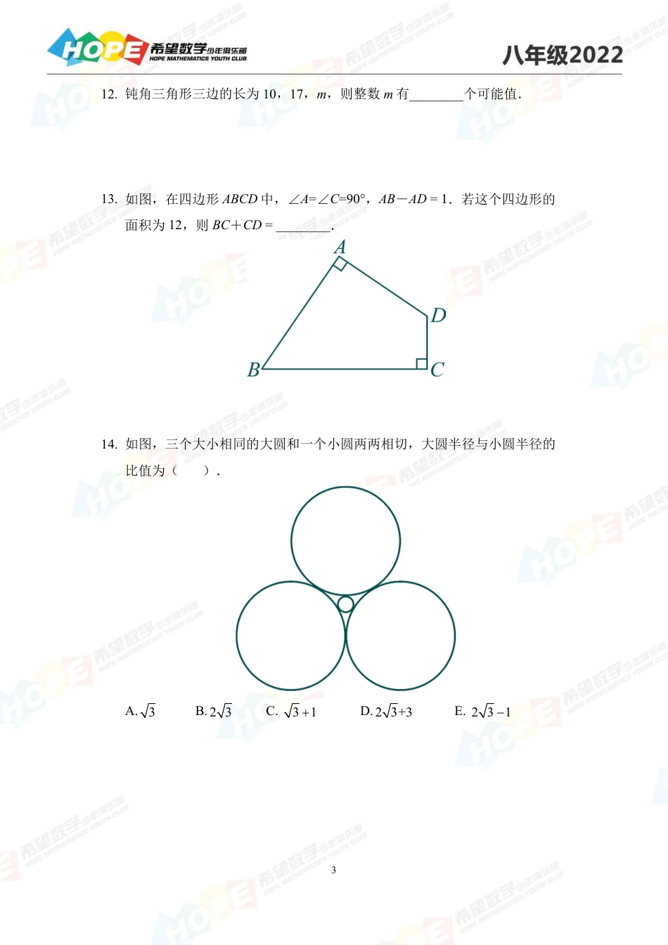 希望数学少年俱乐部-思维挑战2022冬令营8年级.pdf_第3页